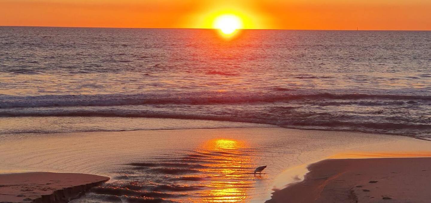 Sandcastles At The Beach Outstanding Location! Perth Bagian luar foto